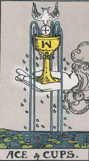 Ace of Cups reference image